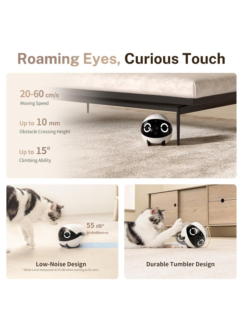 Enabot 2K Robot Camera for Animals Mobile Robot Pet Camera with App, Touch Call, 2-Way Audio, IR Night Vision, Motion and Video Detector - Image 4